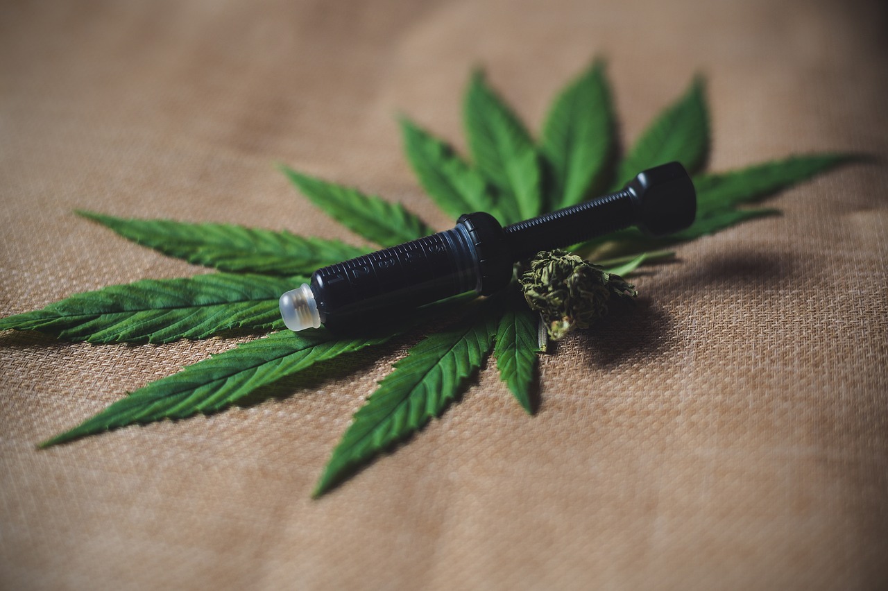 cbd olej